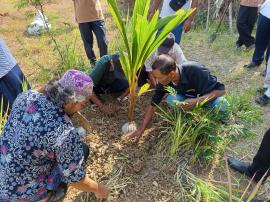 BIMBINGAN TEKNIS TANAMAN KELAPA KOPYOR